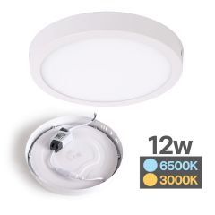 ติดลอย กลมขาว 12w