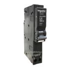 Schneider ลูกย่อยป้องกันไฟรั่ว ไฟดูด ชไนเดอร์ RCBO Branch Breaker 1P 6kA 30mA