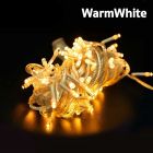 Lighting Plus ไฟประดับตกแต่ง Christmas LED String Light ชนิดไม่กระพริบ 100 LEDs - แสงวอร์มไวท์ Warm White