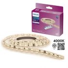 4000K แสงคูลไวท์